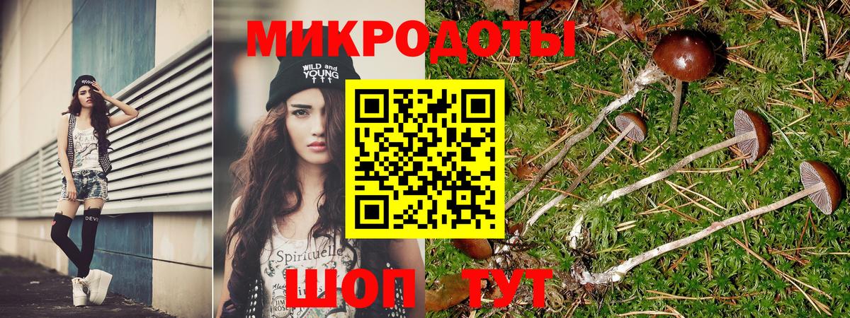 Мичуринск  Галлюциногенные грибы Psilocybe  Вход с VPN  Псилоцибиновые грибы мухоморы 